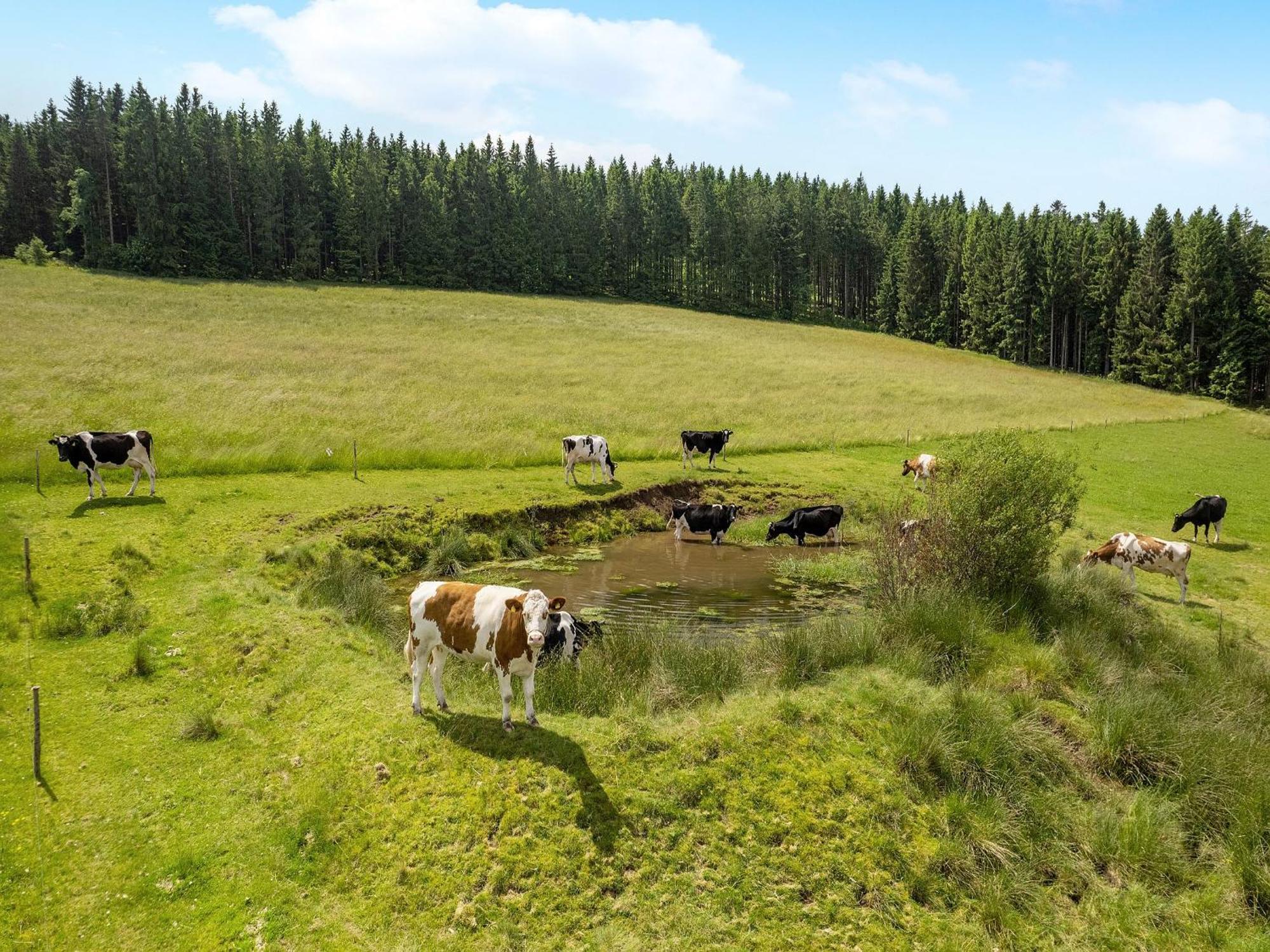 Ferienwohnung Duffner Schonach im Schwarzwald Extérieur photo